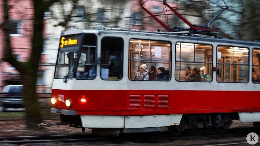 В Калининграде на улице Черняховского сломался трамвай №5 и заблокировал движение другого транспорта - Новости Калининграда | Фото: Александр Подгорчук / «Клопс»