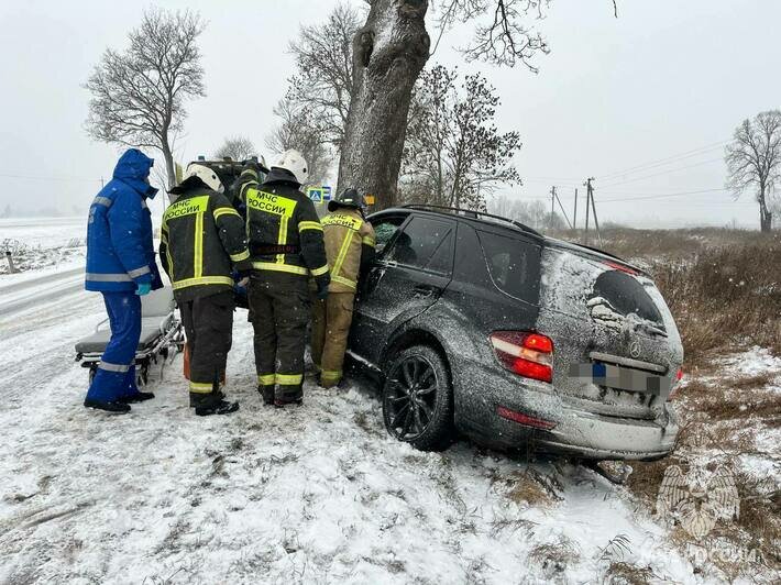 В Нестеровском муниципальном округе произошло смертельное ДТП - Новости Калининграда | Фото: МЧС