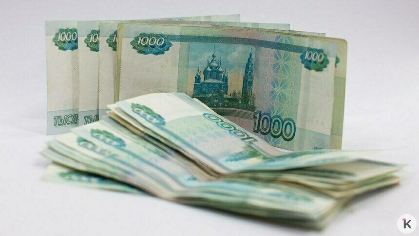 В Госдуме предложили ввести базовый доход жителям двух самых бедных регионов России   - Новости Калининграда | Фото: Александр Подгорчук / Архив «Клопс»