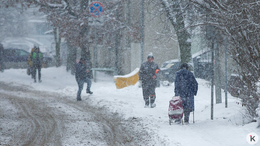Мокрый снег и гололедица: погода в Калининградской области в субботу, 3 января   - Новости Калининграда | Фото: Александр Подгорчук / Архив «Клопс»