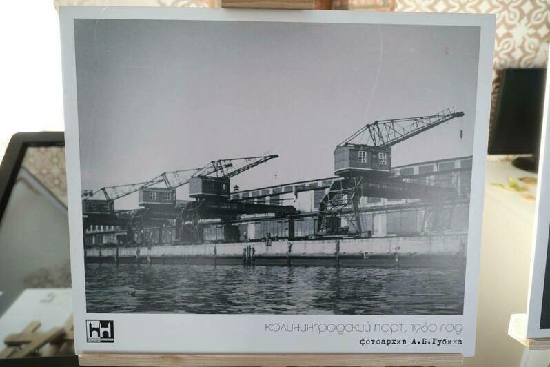 Дятлова рассказала о подготовке выставки к 80-летию Калининграда (фото) - Новости Калининграда | Фото: телеграм-канал Елены Дятловой