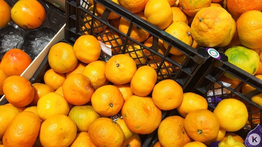 Россияне съедают больше всего мандаринов в мире   - Новости Калининграда | Фото: Александр Подгорчук / Архив «Клопс»