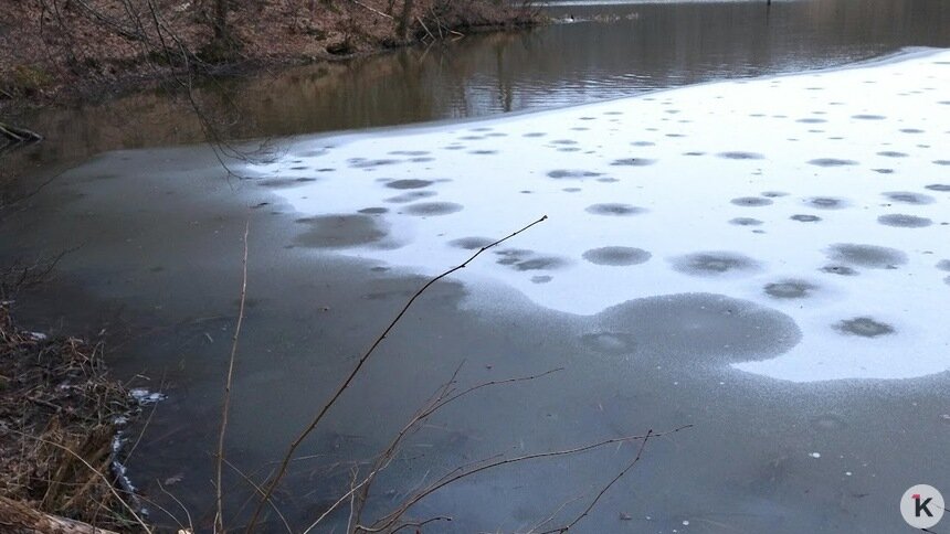 Под Калининградом четырёхлетний мальчик провалился в прорубь и едва не утонул в пруду (обновлено) - Новости Калининграда | Фото: архив «Клопс»