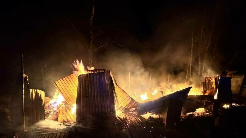 В Калининградской области за неделю сгорели и утонули три человека   - Новости Калининграда | Фото: ГУ МЧС по Калининградской области