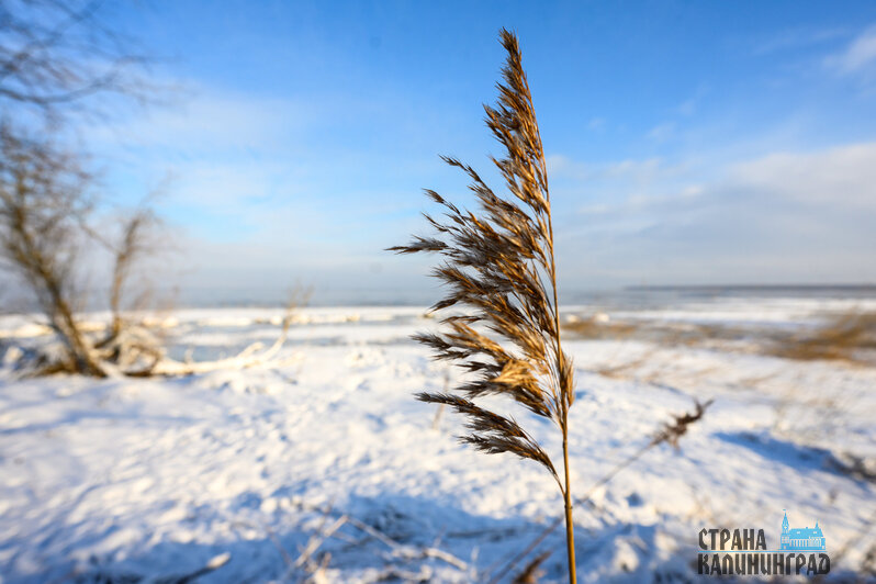 Заливинский маяк накрыла снежная зима: атмосферные фото