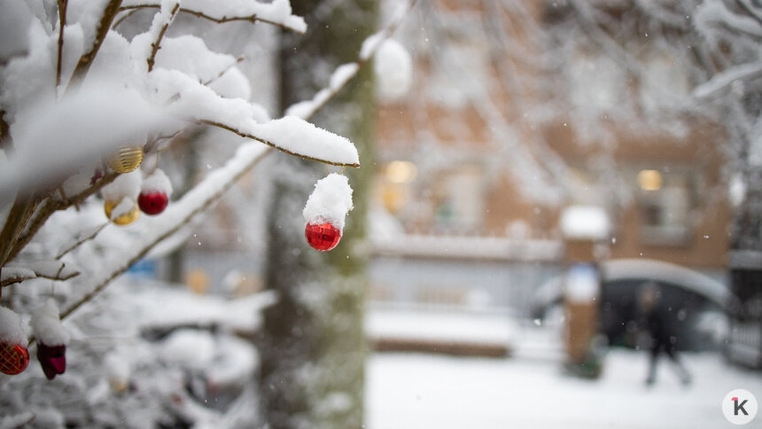 Мороз, возможен снег: погода в Калининградской области в среду, 7 января  - Новости Калининграда | Фото: Александр Подгорчук / Архив «Клопс»