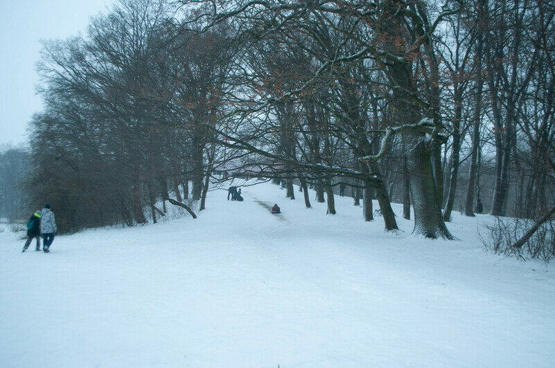 Парк Макса Ашманна | Фото: Ксения Андреева