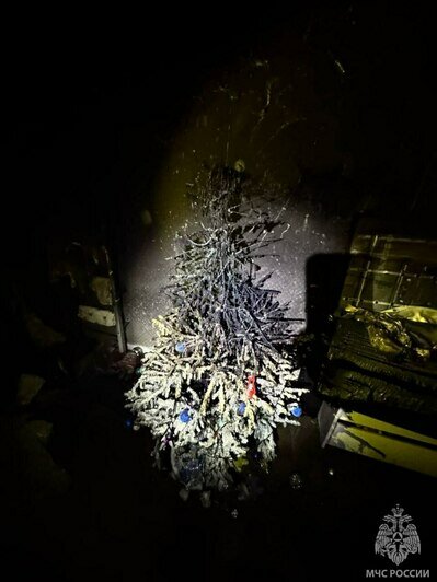 Мать надышалась дымом и попала в больницу: подробности пожара в Светлом (видео)   - Новости Калининграда | Фото: ГУ МЧС России по Калининградской области