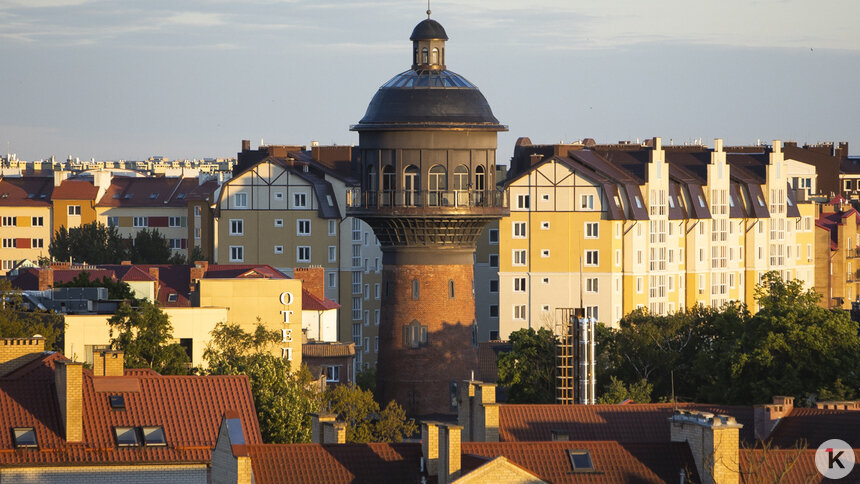 В Госдуме предложили освободить бойцов СВО и членов их семей от налога на туризм и банковские вклады   - Новости Калининграда | Фото: Александр Подгорчук / Архив «Клопс»
