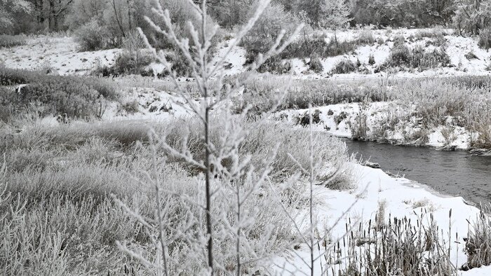 Морозы не отступают: погода в Калининграде на выходные | Фото: Софья Шарипова