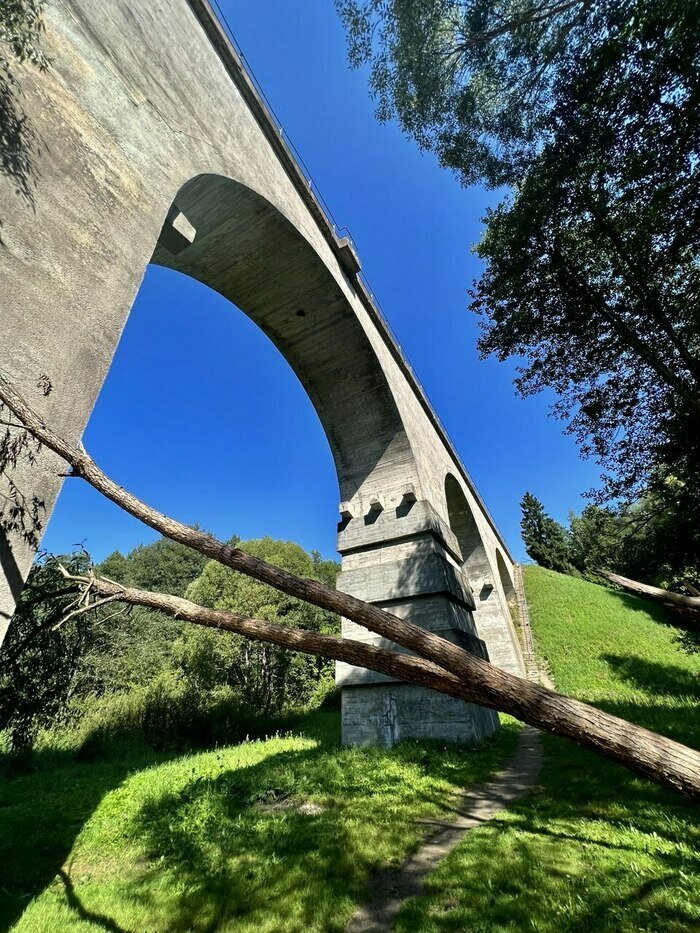 Мост в Токаревке. | Фото: Софья Шарипова