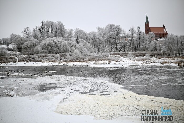 Калининградскую область сковала изморозь: сказочные заснеженные пейзажи