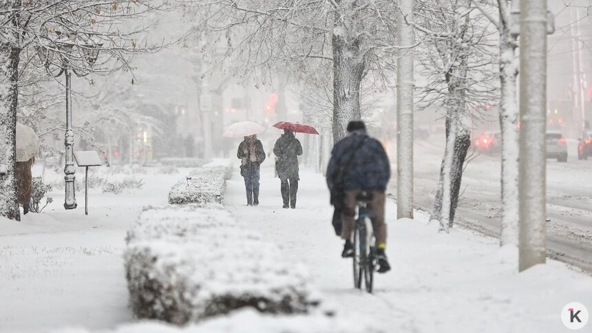 Мороз, метель и снежные заносы: погода в Калининградской области в субботу, 10 января   - Новости Калининграда | Фото: Александр Подгорчук / Архив «Клопс»