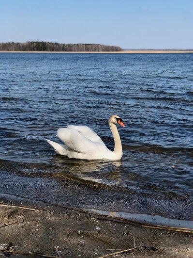 «Посмотрите, у них всё зелёное!»: гид из Перми рассказала, почему туристы сходу влюбляются в Калининградскую область                                                                                  - Новости Калининграда | Фото: Евгения Слободян
