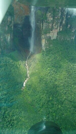 Портреты Боливара, нищие индейцы и пиранья на удочку: калининградка рассказала о путешествии в Венесуэлу (фото)   - Новости Калининграда | Фото: Елена Прищеп