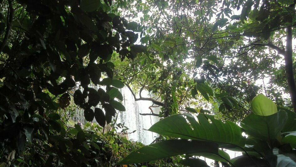 Портреты Боливара, нищие индейцы и пиранья на удочку: калининградка рассказала о путешествии в Венесуэлу (фото)   - Новости Калининграда | Фото: Елена Прищеп