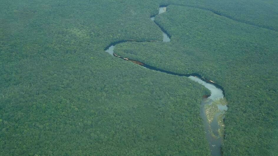 Портреты Боливара, нищие индейцы и пиранья на удочку: калининградка рассказала о путешествии в Венесуэлу (фото)   - Новости Калининграда | Фото: Елена Прищеп