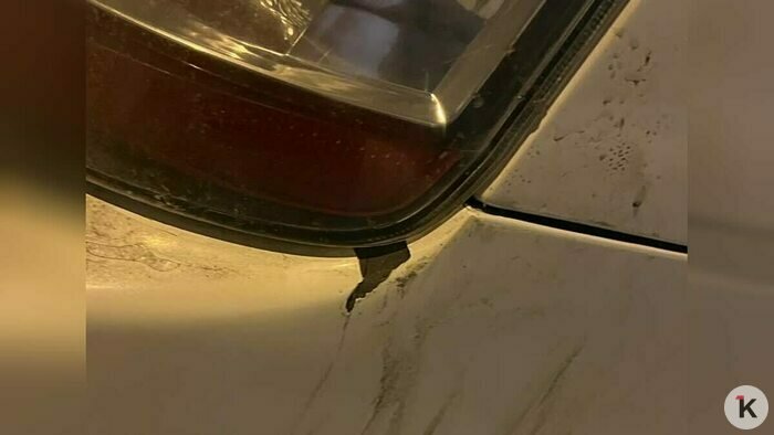 «Пнул бампер, а потом и меня»: в Калининграде пассажир набросился на таксистку, объезжавшую пробки в Балтрайоне (видео) - Новости Калининграда | Фото: Лидия