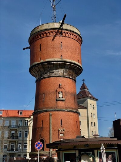 «Посмотрите, у них всё зелёное!»: гид из Перми рассказала, почему туристы сходу влюбляются в Калининградскую область                                                                                  - Новости Калининграда | Фото: Евгения Слободян