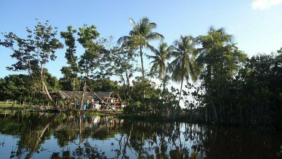 Портреты Боливара, нищие индейцы и пиранья на удочку: калининградка рассказала о путешествии в Венесуэлу (фото)   - Новости Калининграда | Фото: Елена Прищеп