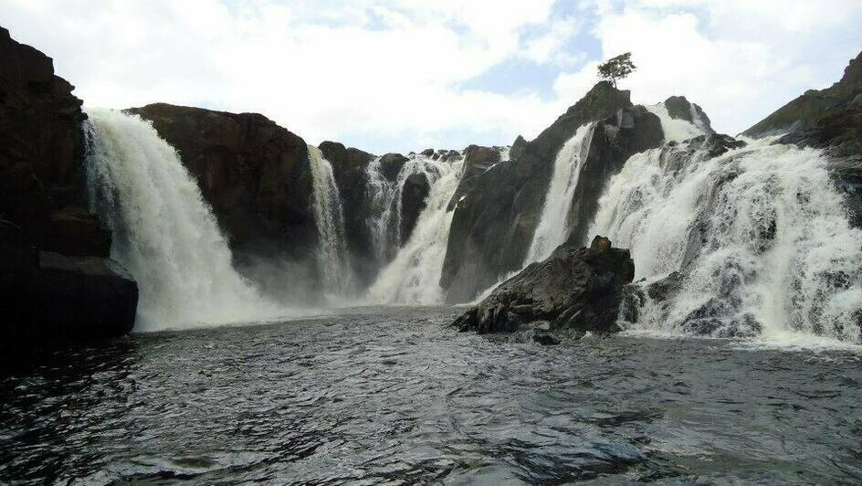 Портреты Боливара, нищие индейцы и пиранья на удочку: калининградка рассказала о путешествии в Венесуэлу (фото)   - Новости Калининграда | Фото: Елена Прищеп