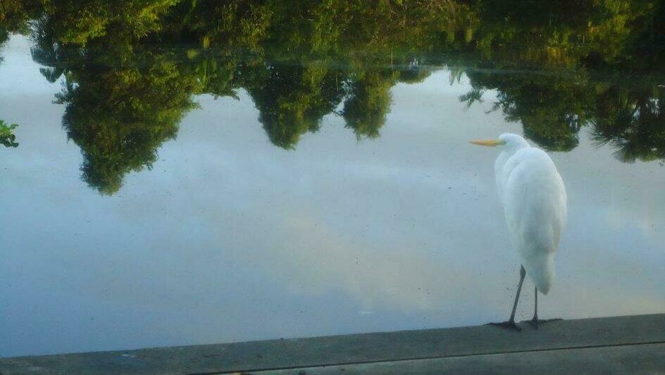 Портреты Боливара, нищие индейцы и пиранья на удочку: калининградка рассказала о путешествии в Венесуэлу (фото)   - Новости Калининграда | Фото: Елена Прищеп