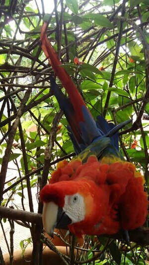 Портреты Боливара, нищие индейцы и пиранья на удочку: калининградка рассказала о путешествии в Венесуэлу (фото)   - Новости Калининграда | Фото: Елена Прищеп