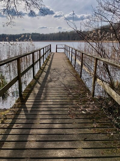«Посмотрите, у них всё зелёное!»: гид из Перми рассказала, почему туристы сходу влюбляются в Калининградскую область                                                                                  - Новости Калининграда | Фото: Евгения Слободян
