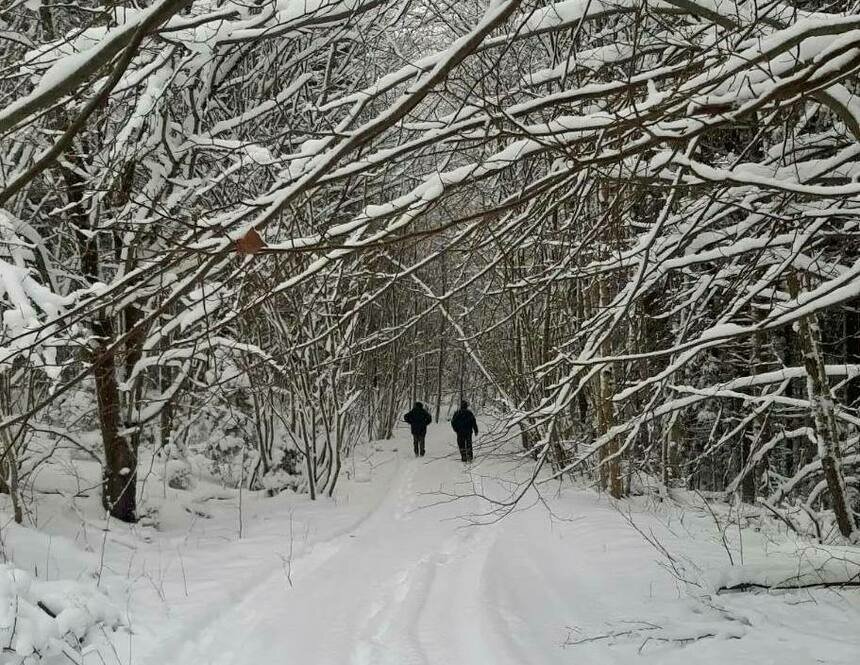 Национальный парк на Виштынце создали в апреле 2024 года.  | Фото: пресс-служба национального парка