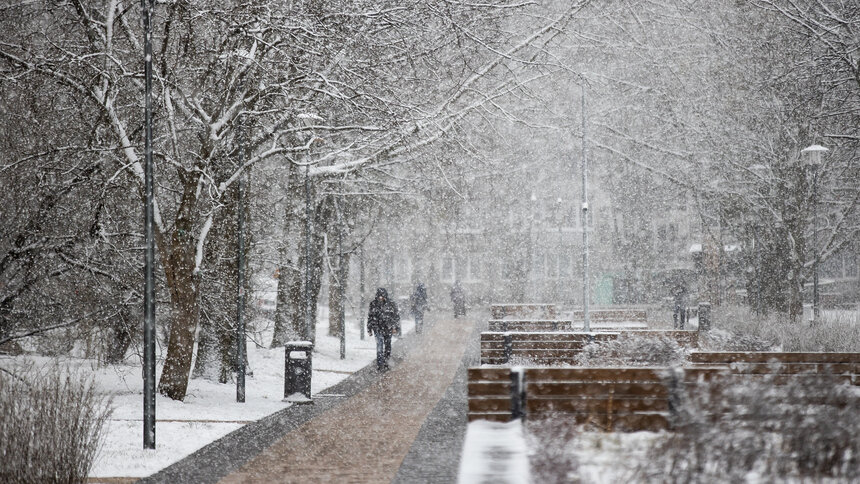 Мороз чуть ослабнет и пойдёт снег: прогноз погоды в Калининграде и области на 14 января - Новости Калининграда | Фото: Александр Подгорчук / Архив «Клопс»