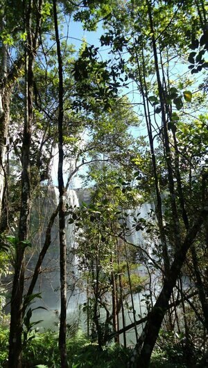 Портреты Боливара, нищие индейцы и пиранья на удочку: калининградка рассказала о путешествии в Венесуэлу (фото)   - Новости Калининграда | Фото: Елена Прищеп