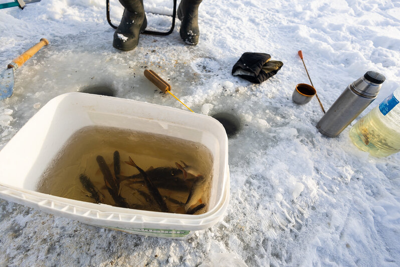 Безопасные 15 сантиметров: как в Калининграде следят за толщиной льда (фоторепортаж)  - Новости Калининграда | Фото: Александр Подгорчук / «Клопс»