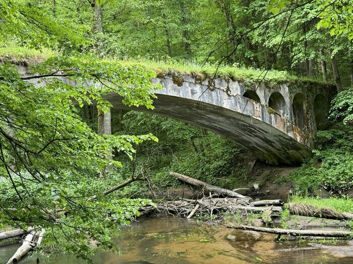 Там, где природа главная: заповедники Калининградской области (фото)