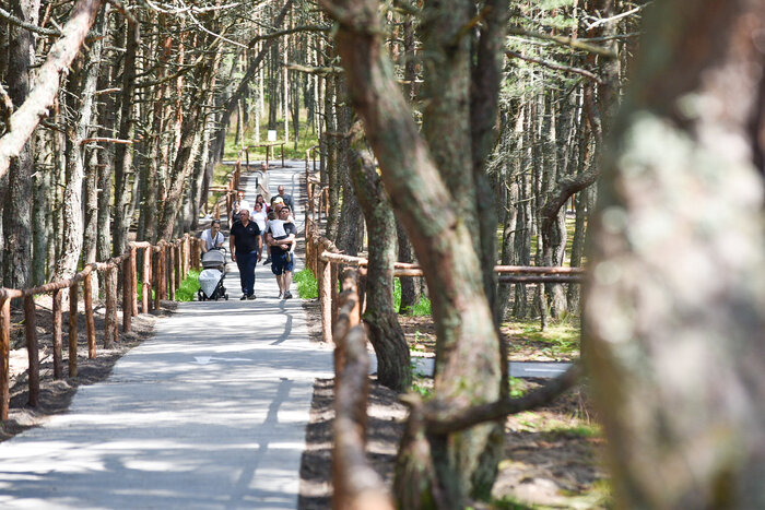 Там, где природа главная: заповедники Калининградской области (фото) | Фото: Александр Мелехов