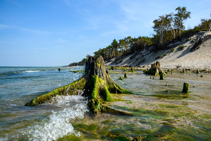 Там, где природа главная: заповедники Калининградской области (фото)