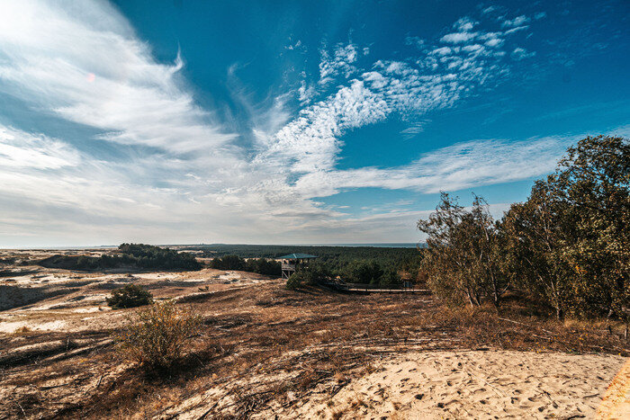 Там, где природа главная: заповедники Калининградской области (фото)