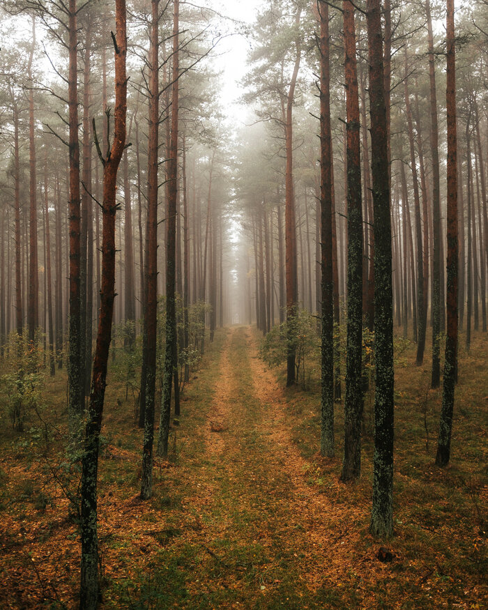 Там, где природа главная: заповедники Калининградской области (фото)
