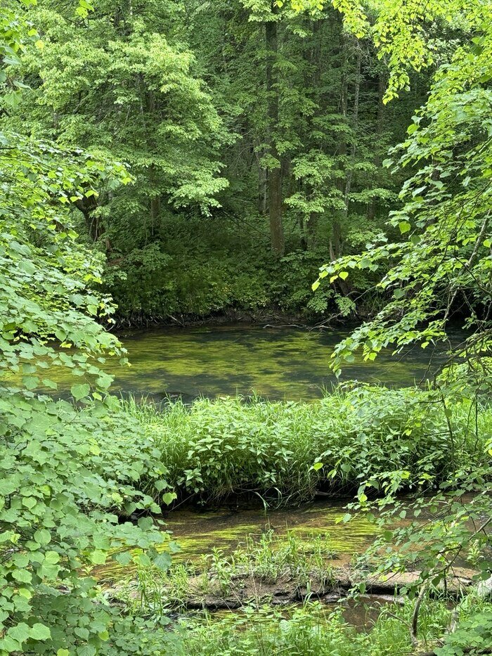 Там, где природа главная: заповедники Калининградской области (фото)