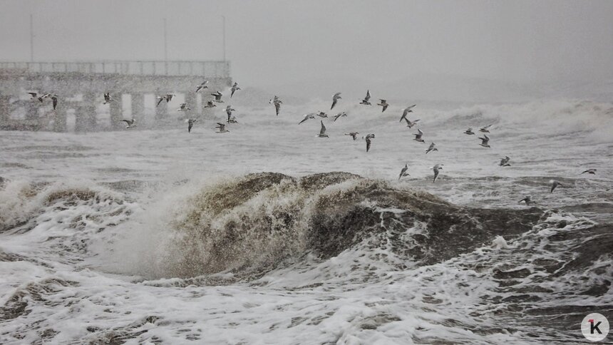 Будет идти снег: погода в Калининграде и области в воскресенье - Новости Калининграда | Фото: Александр Подгорчук / «Клопс»
