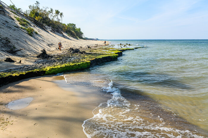 Там, где природа главная: заповедники Калининградской области (фото)