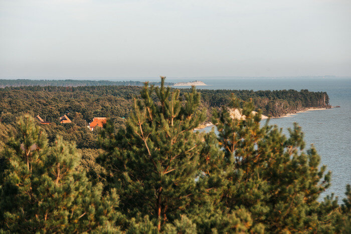 Там, где природа главная: заповедники Калининградской области (фото)