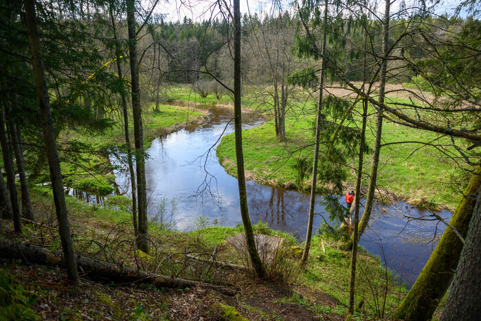 Там, где природа главная: заповедники Калининградской области (фото)