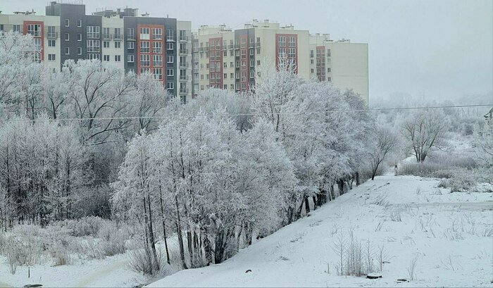 Калининград этой зимой завалило снегом. | Фото: Ксения Андреева