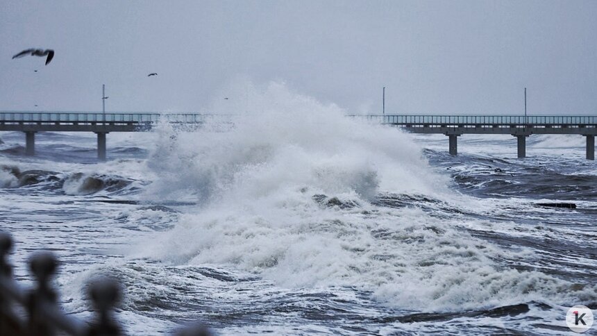 В начале недели ударят морозы, а концу ожидается потепление: погода в Калининграде и области с 12 по 18 января - Новости Калининграда | Фото: Александр Подгорчук / «Клопс»