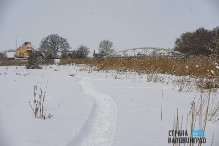 Как на картинах Брейгеля: в новогодние каникулы река Прохладная превратилась в рыбацкий городок | Фото: Александр Мелехов