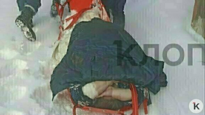 Снежный коллапс и гибель калининградской слонихи Преголи: 16 событий, которые обсуждали в длинные выходные   - Новости Калининграда | Фото: очевидец 