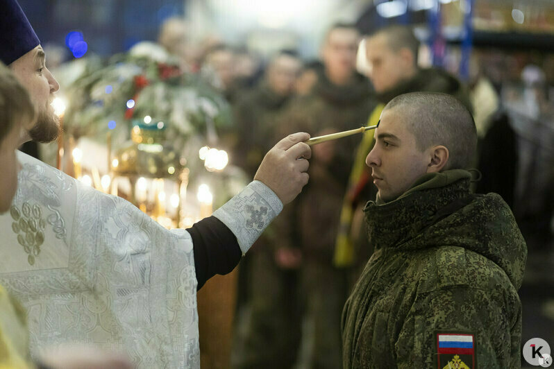 Снежный коллапс и гибель калининградской слонихи Преголи: 16 событий, которые обсуждали в длинные выходные   - Новости Калининграда | Фото: Александр Подгорчук / «Клопс»