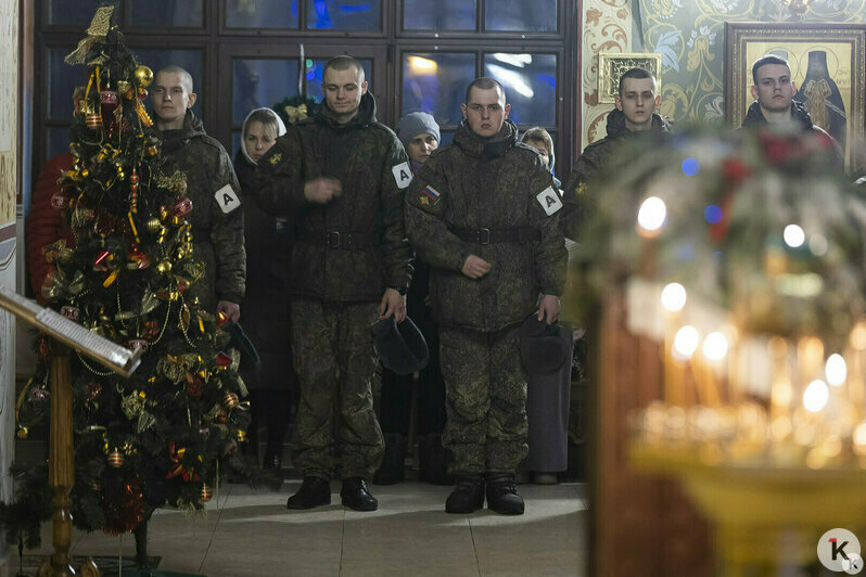 Снежный коллапс и гибель калининградской слонихи Преголи: 16 событий, которые обсуждали в длинные выходные   - Новости Калининграда | Фото: Александр Подгорчук / «Клопс»