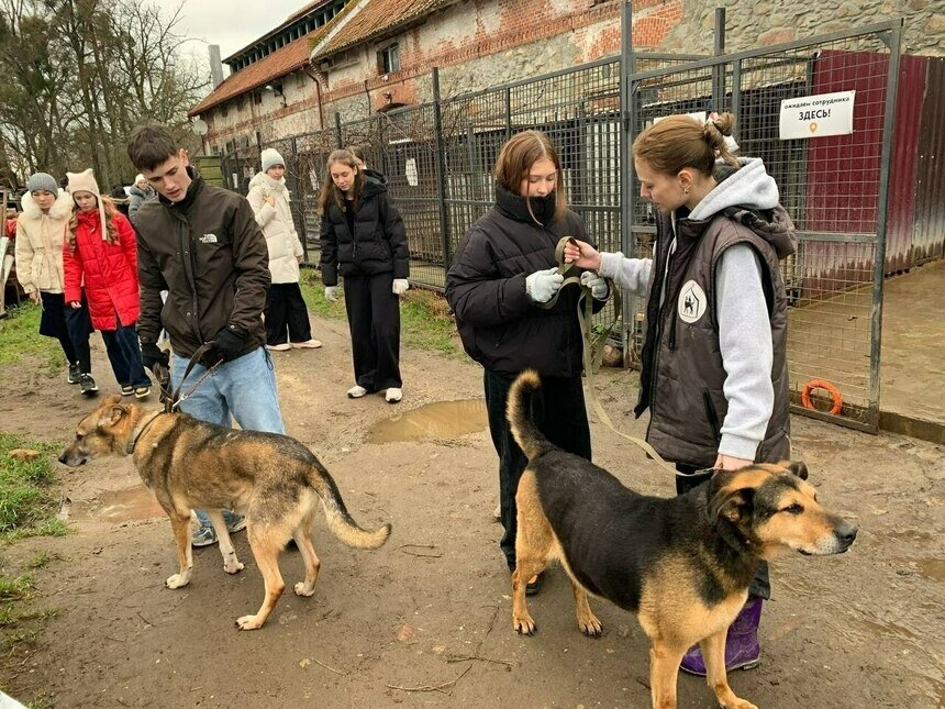 Урок добра в приюте | Фото: социальные сети РЦБЖ «Славянское»