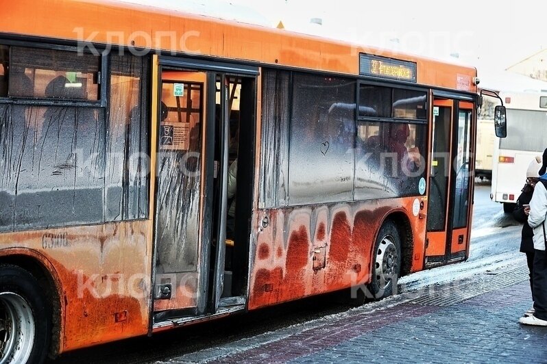 «Просто противно заходить»: в Калининграде новые троллейбусы и автобусы пугают пассажиров (фото) - Новости Калининграда | Фото: «Клопс»